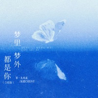 梦里梦外都是你 (合唱版) - Single - 零一九零贰 & 沉虞CHENY