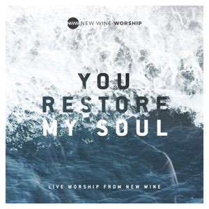 You Restore My Soul (Live) - Single