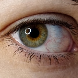 Анастасия Марк Джей