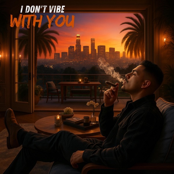 I Don't Vibe With You