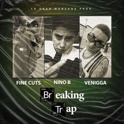 Breaking Trap (feat. Venigga, Gotti Gotti oG & Fine Cuts) - Single