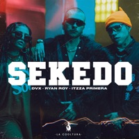 Sekedo - Single - Dvx, Itzza Primera & Ryan roy