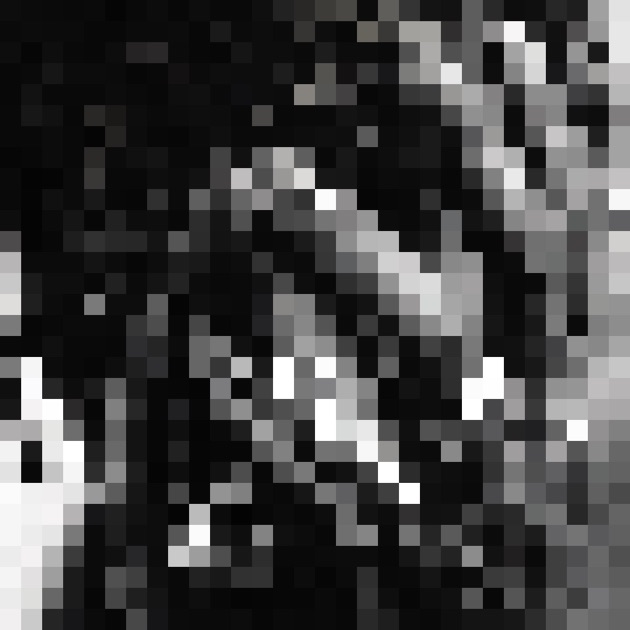 The Life of Pablo - カニエ・ウェストのアルバム - Apple Music