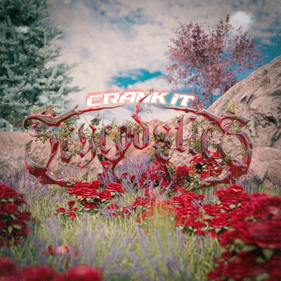 CRANK IT - Single