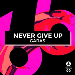Never Give Up - Single