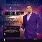 Ndinoshamiswa - Single