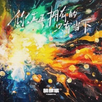 你真正拥有的只有当下 - Single - Tiger Hu