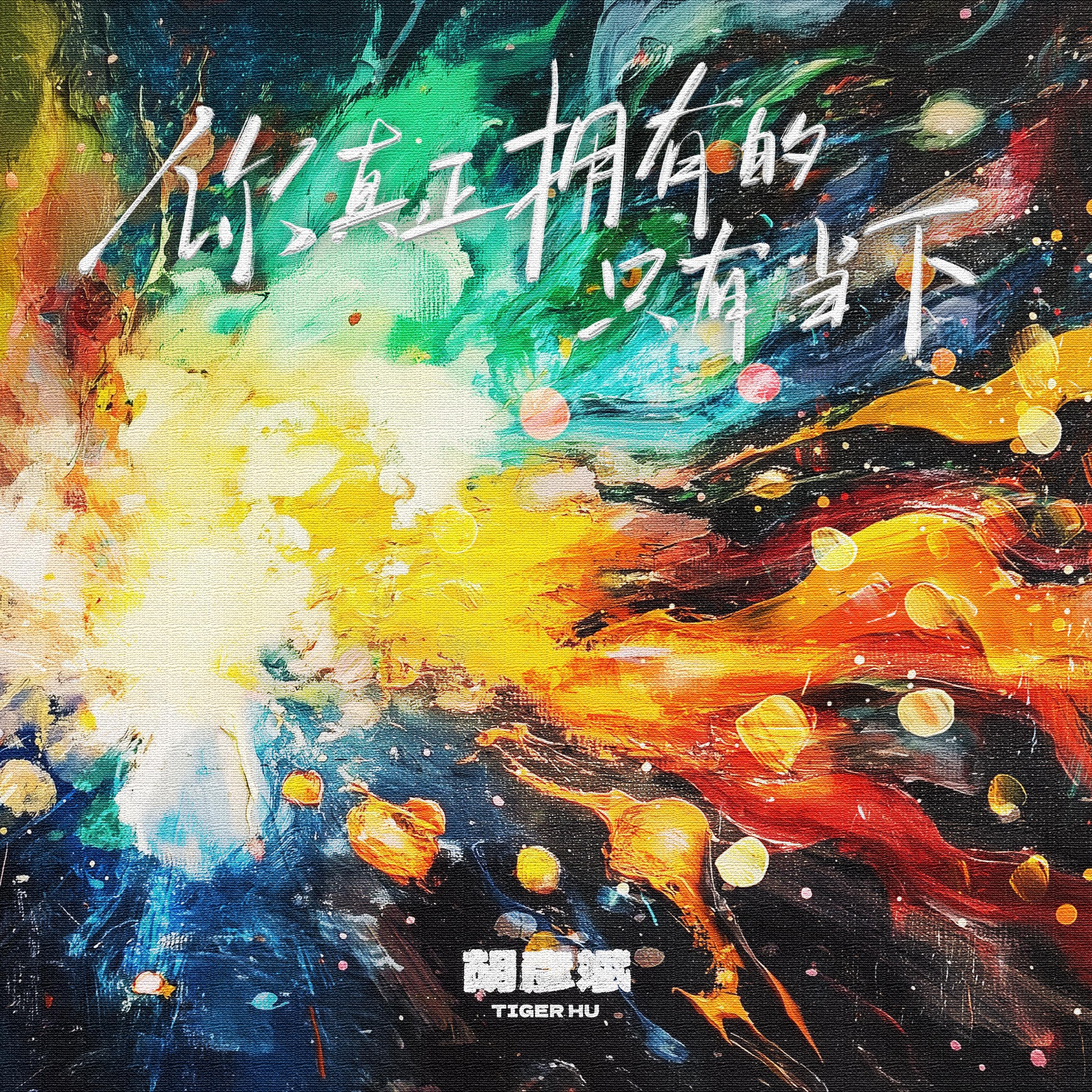 Tiger Hu 胡彦斌 - 你真正拥有的只有当下