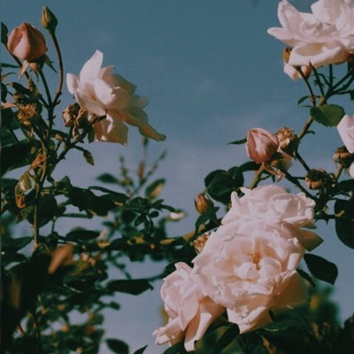 BESTFRIEND! (feat. Emmanutell) - Single