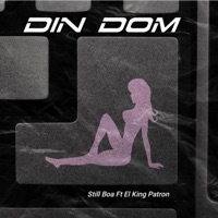 Din Dom (feat. El King Patrón) - Single - Still Boa