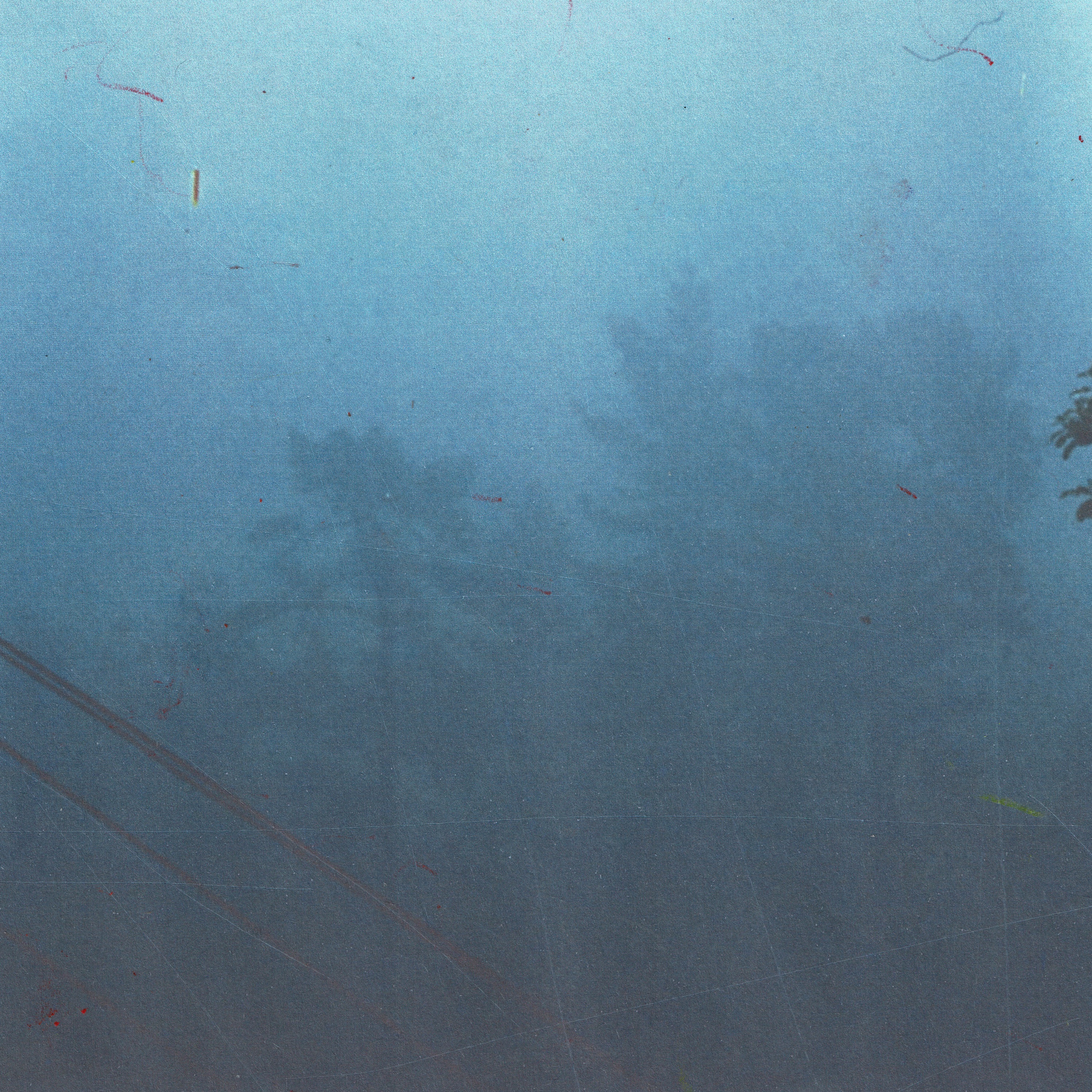 Godwits - Single
