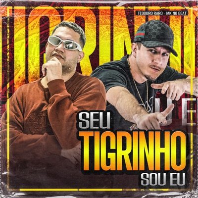 Seu Tigrinho Sou Eu (feat. MK no Beat) - Single