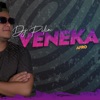 VENEKA cover art