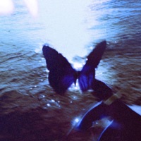 Paradise - Single - Chrxs Beats & Young Mooski