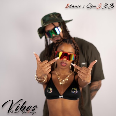 Vibes - Single