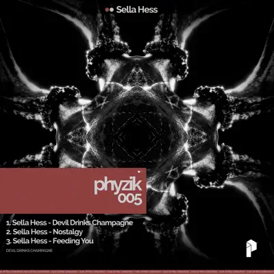 Luister naar 'Phyzik 005 - Single' van Sella Hess & Phyzik