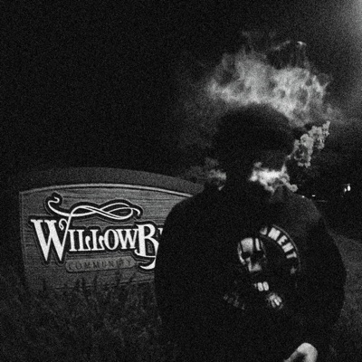 Downer Sleeper (feat. coco) - Single