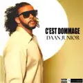 Kisa poum fè feat. Fabiola Shyne