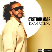 C'est dommage - Daan Junior