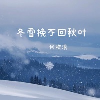 冬雪挽不回秋叶 - Single - 何欢浪