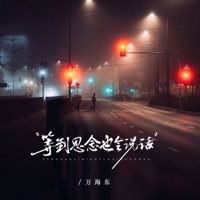 等到思念也会说话 (DJ阿越版) - Single - 万海东