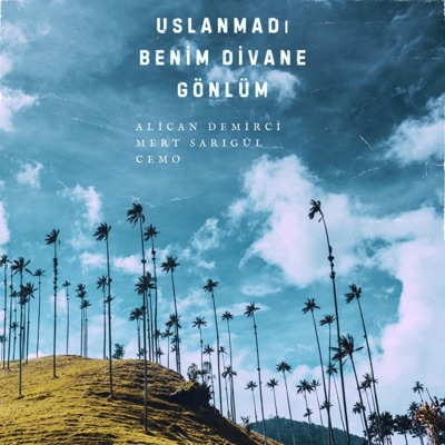 Uslanmadı Benim Divane Gönlüm (feat. Mert Sarıgül & Cemo) - Single