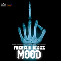 Mood - Single - FREESHH BIGGZ