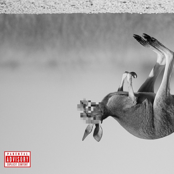 Kangaroo