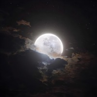 Moonbeam - Single - onmyown