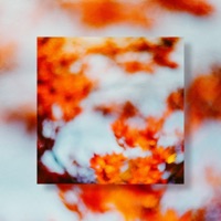 heat check - Single - jetfueljayy