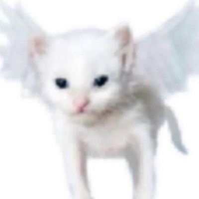angel wings - Single