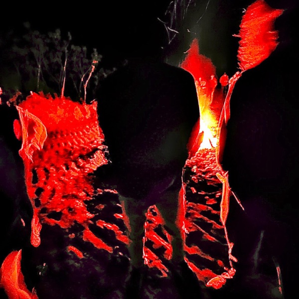 DISTORTION