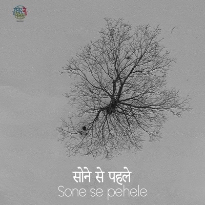 Sone Se Pehele (feat. digV) - Single