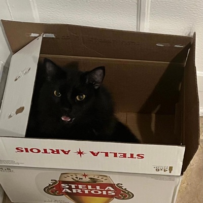 LET THAT BOY SPIT - Single