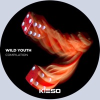 Wild Youth - Mr Gil & Dudu Nahas