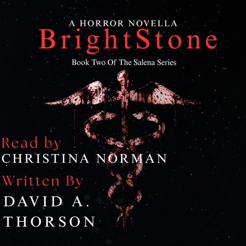 Bright Stone (Unabridged) cover