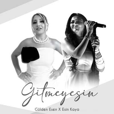 Gitmeyesin (Şiirli Vers) - Single