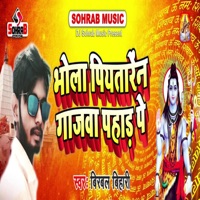 Bhola Piyataren Ganjwa Pahad Par - Single - Birbal Bihari