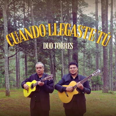 Cuando Llegaste Tú - Single