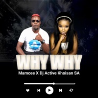 WHY WHY (feat. Dj Active Khoisan SA) - Single - Mamcee