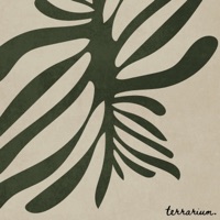 Verdant - Single - terrarium.