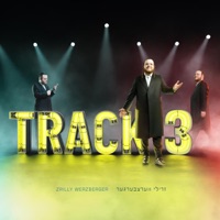 Track 3 - EP - Zrilly Werzberger