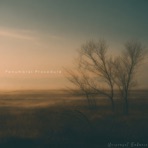 Penumbral Procedure - Single