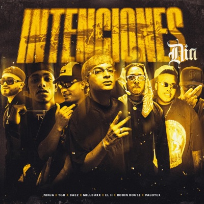 INTENCIONES DIA (feat. Cow, tgo, Baez, Ninjaa CH & valoyex) - Single