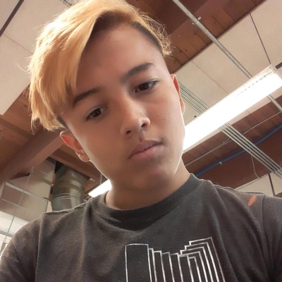 Dropout (feat. Opul) - Single