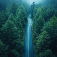 Find the way - Single - MRK