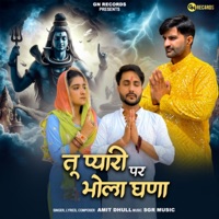 Tu Pyari Par Bhola Ghana - Single - Amit Dhull