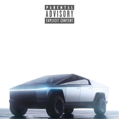 CyberTruck Rally 24' - Single