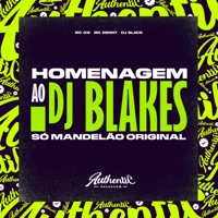 Homenagem ao Dj Blakes Só Mandelão Original (feat. MC Denny & MC GW) - Single - DJ BLACK