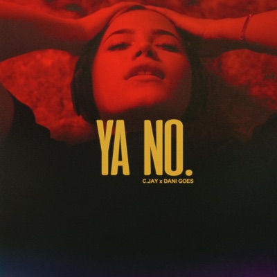 YA NO (feat. Dani Goes) - Single